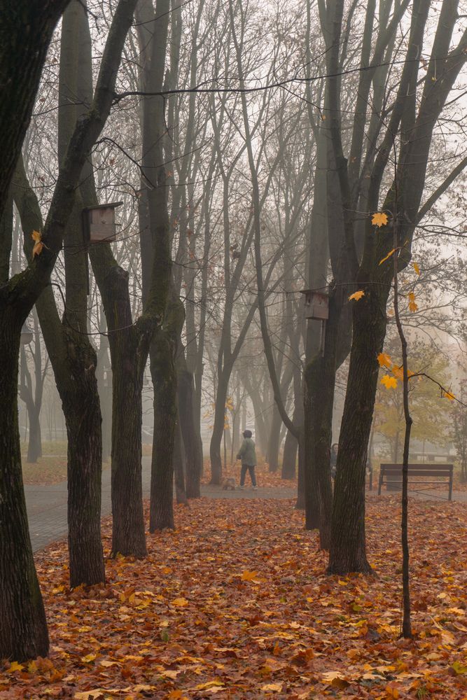 Photograph by Ксения Шилина