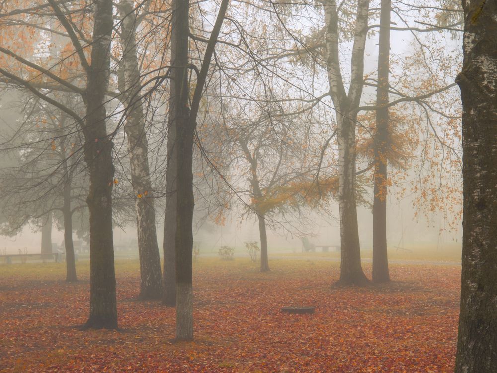 Photograph by Ксения Шилина