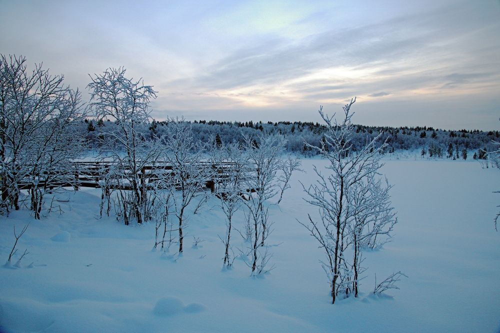 Photograph by Борис Чернов