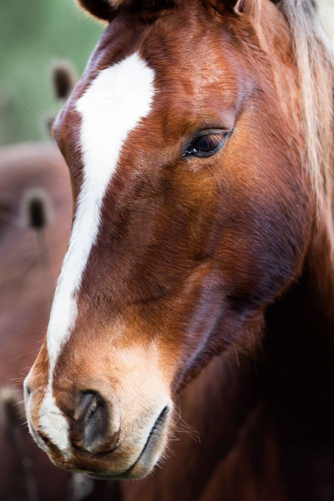 Фотография автора Hugo Marc