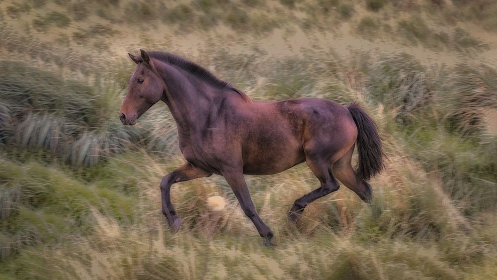 Фотография автора Hugo Marc