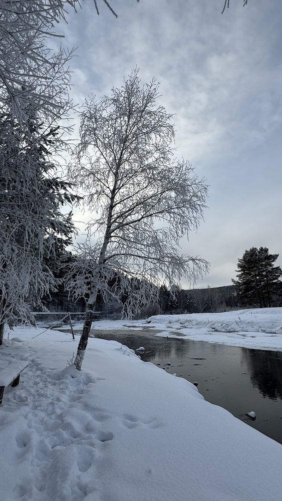 Photograph by Марина Мишутина