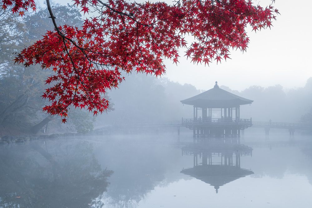 Photograph by Антон Агарков