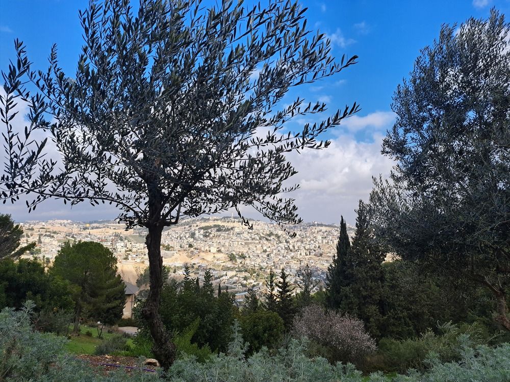 Photograph by Светлана Ханина