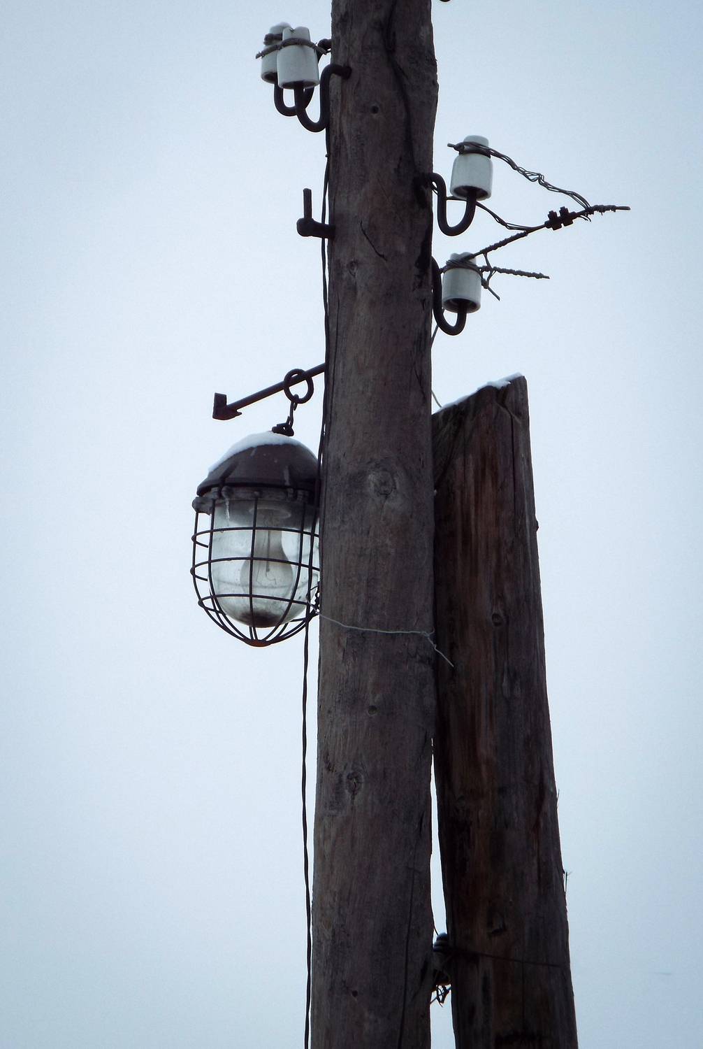 Фотография #13057525