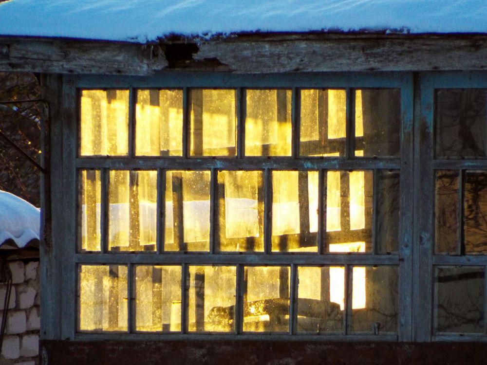 Фотография автора Анастасия Шафоростова