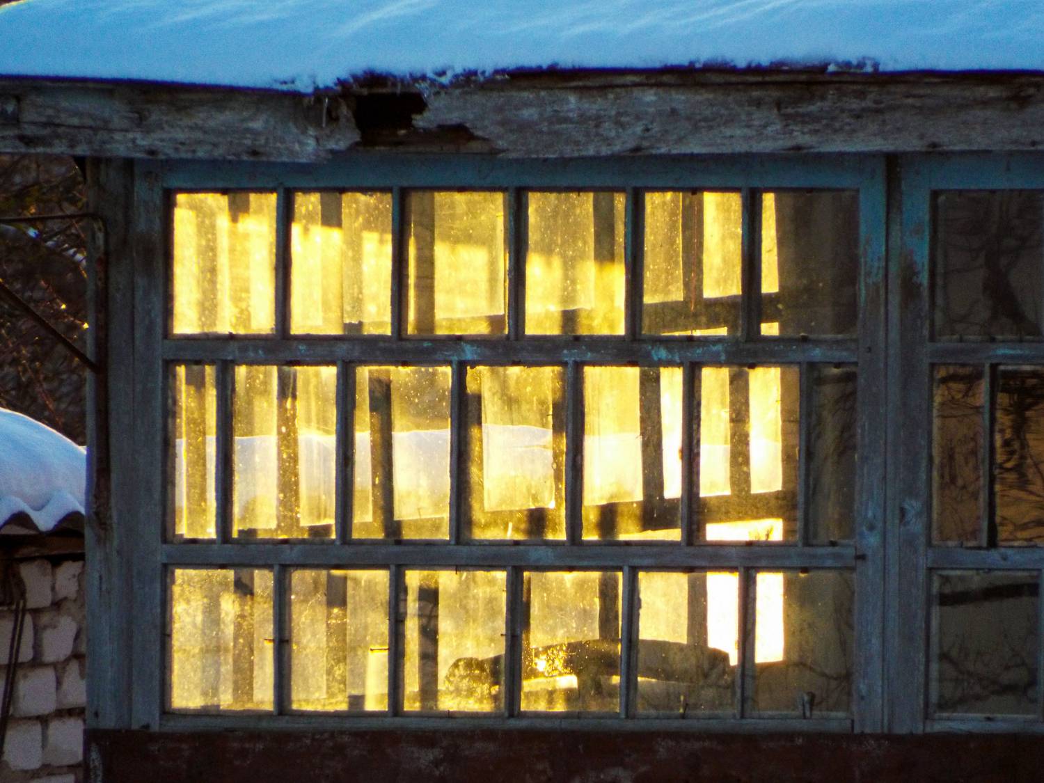 Фотография #13057530