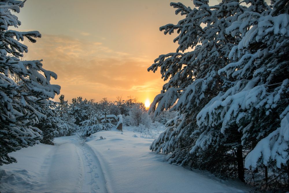 Photograph by Олег Малетин