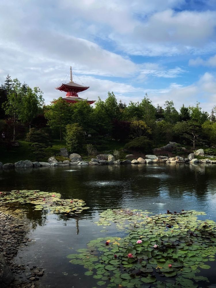 Photograph by Яна Сел