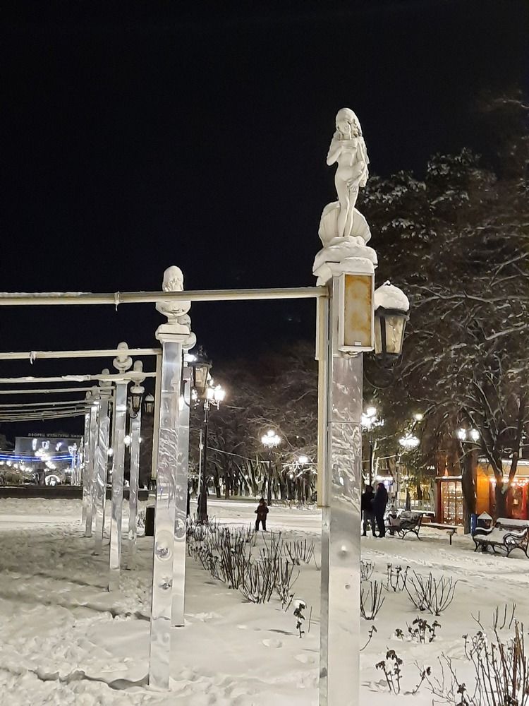 Photograph by Елена