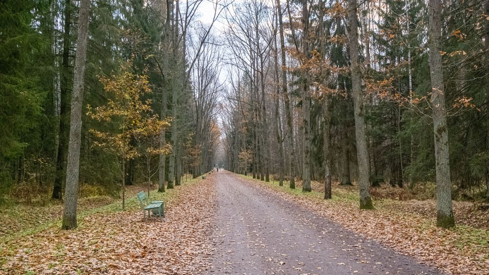 Photograph by Владимир Коровин