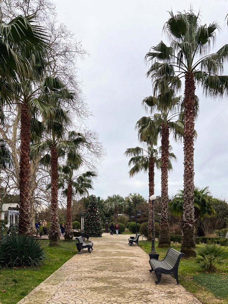 Photograph by Яна Сел