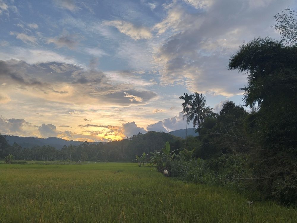 Photo #13057562
