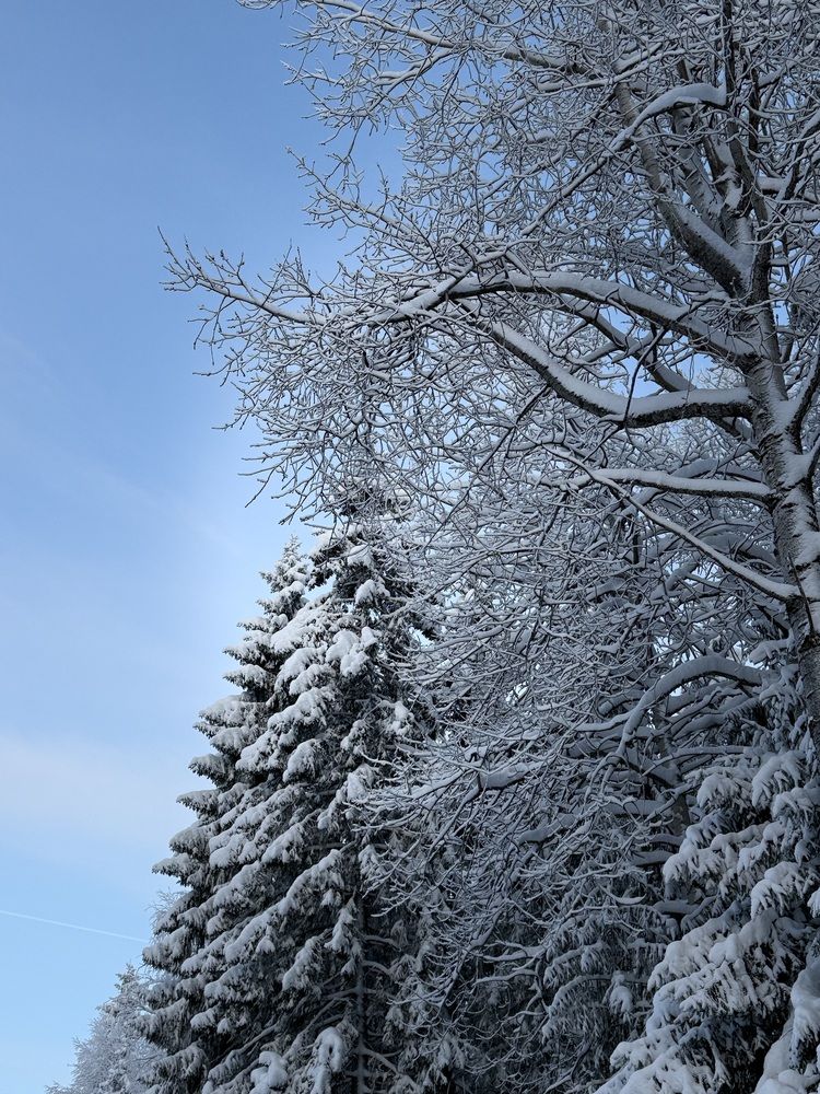 Photograph by Александра Зайниева