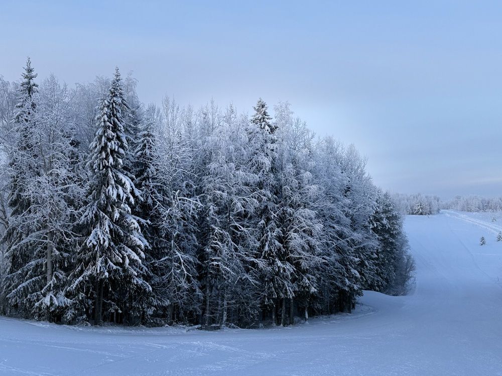Photograph by Александра Зайниева