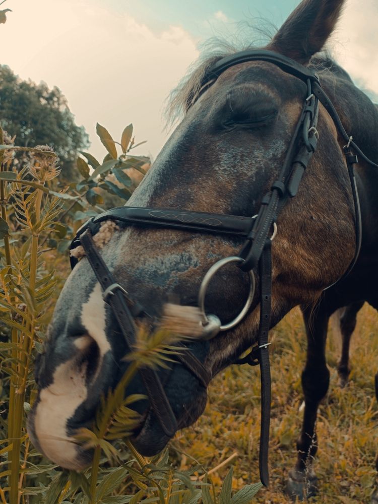 Photograph by Митюрникова Юлия