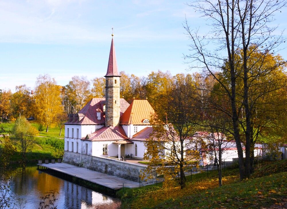 Фотография автора Елена Викторовна