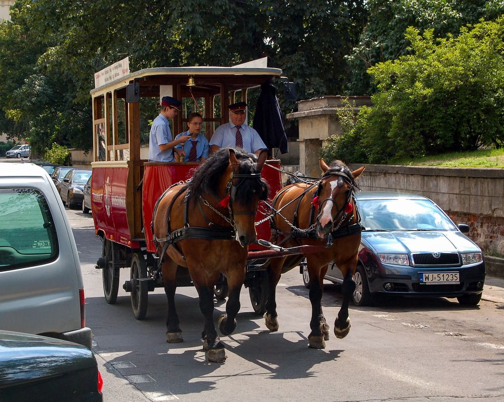 Photograph by Даниил Пузаков