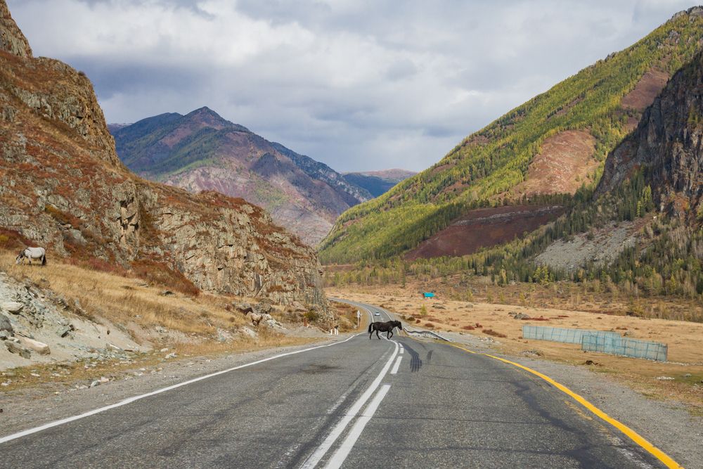 Photograph by Pavel Gukov