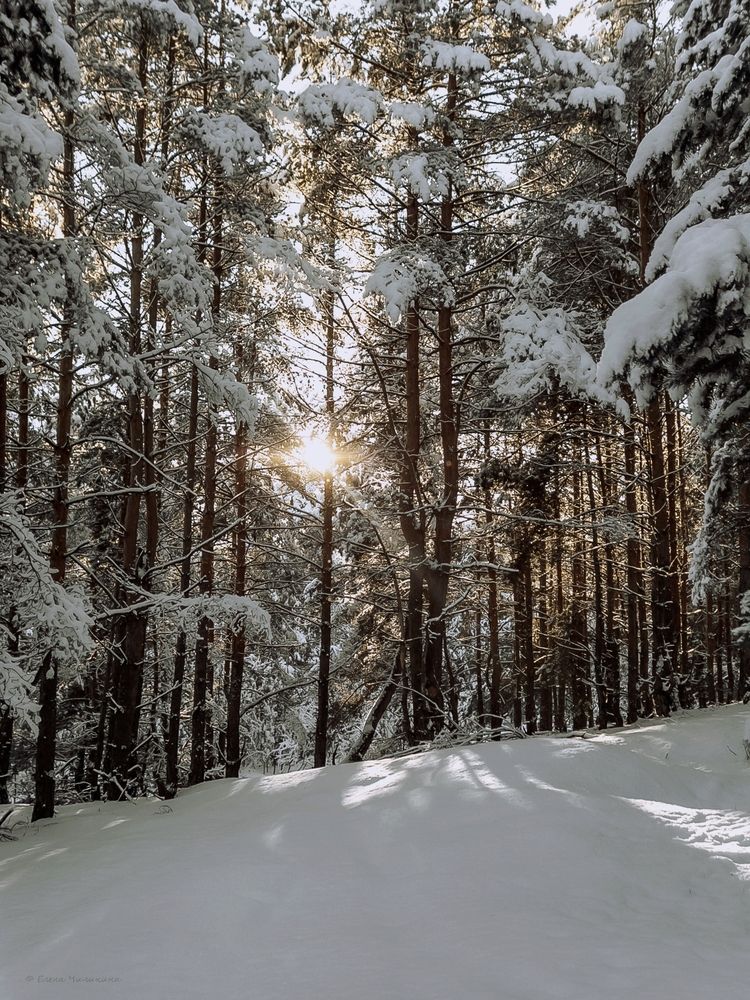 Фотография автора Elena Chilikina