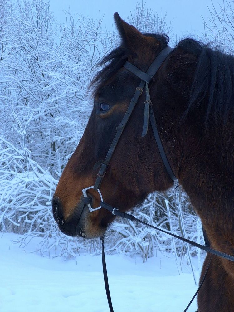 Photograph by Валентина Кузьменко
