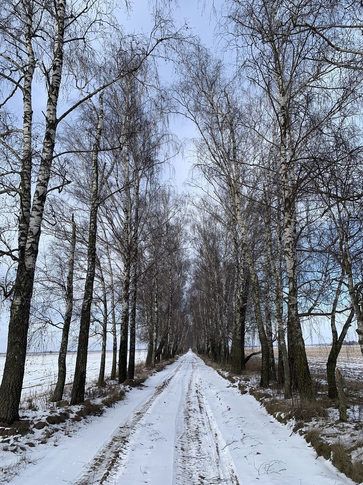 Фотография автора Ирина Шпаковская