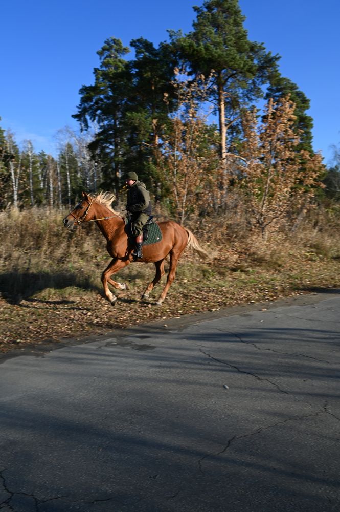 Фотография автора Viktoria