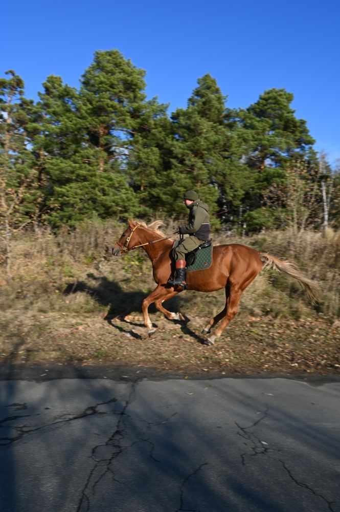 Фотография автора Viktoria