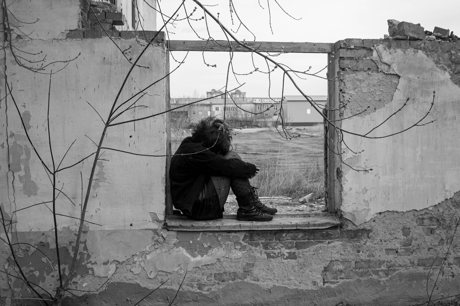 Photo #13057684