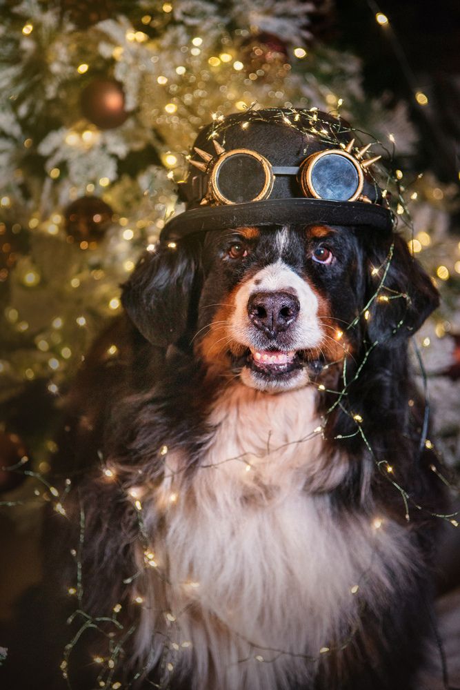 Фотография автора Луцук Мария