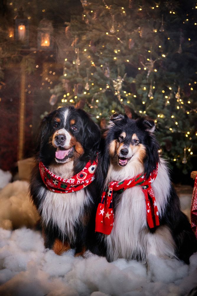 Photograph by Луцук Мария