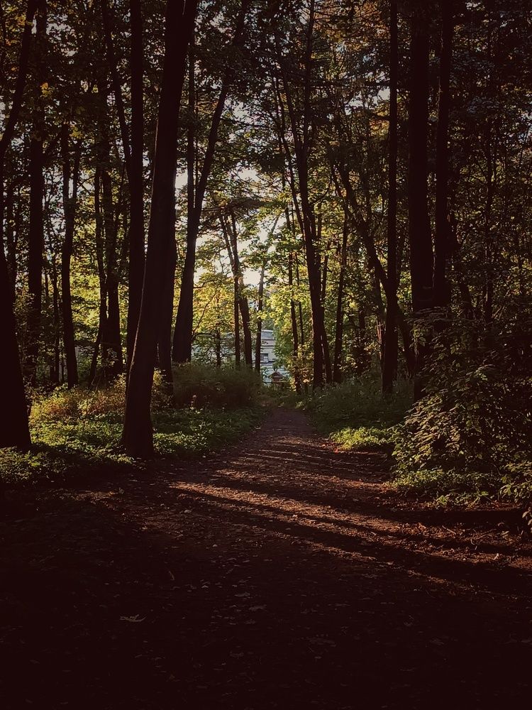 Photo #13057715