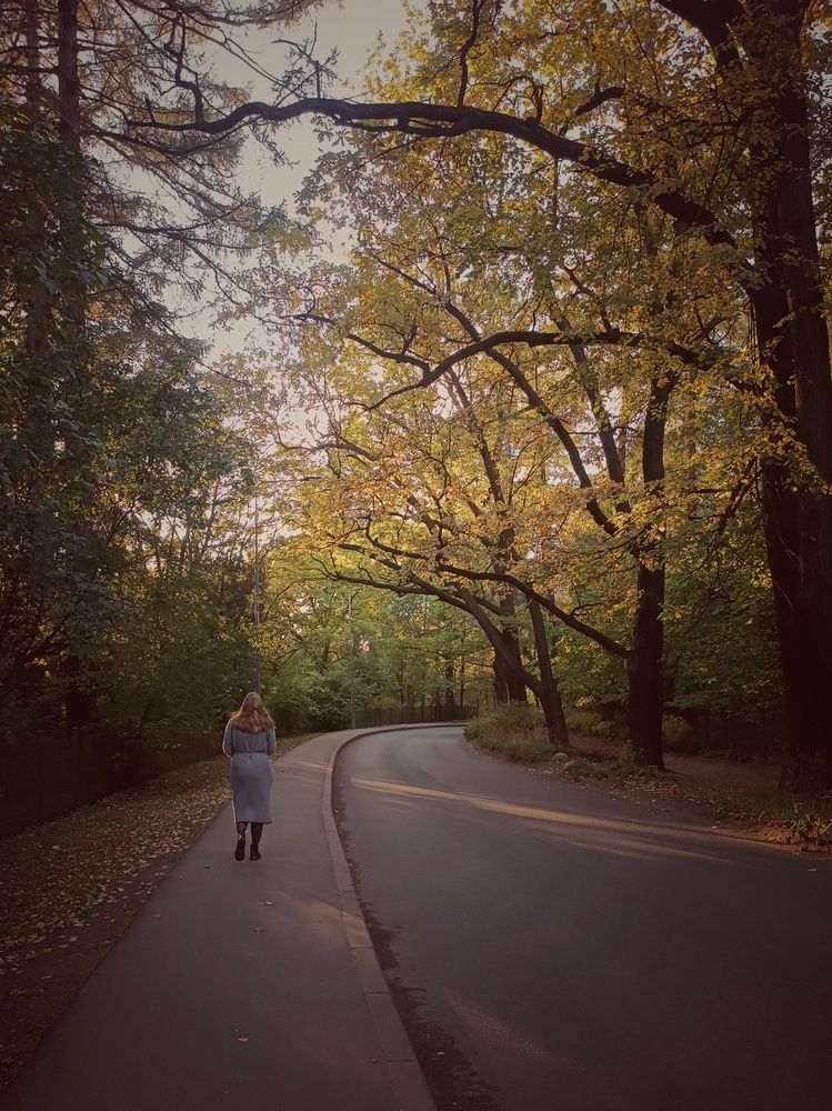 Photo #13057717
