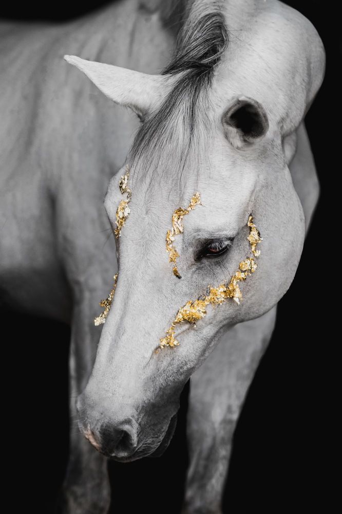 Фотография автора Dylan Kendall