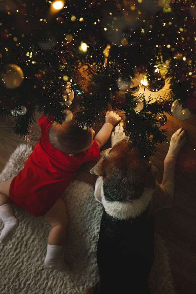 Фотография автора Мария Семенова