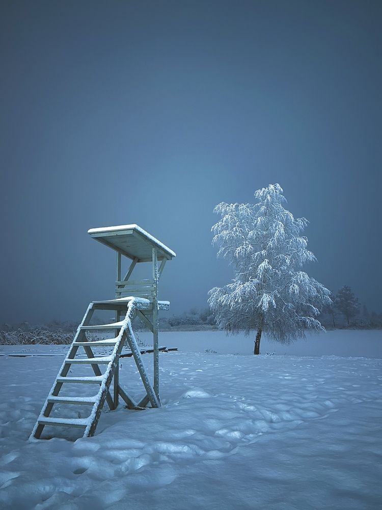 Снежное безмолвие