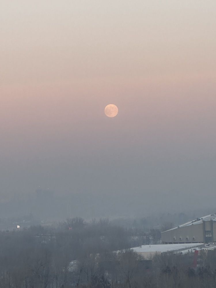 Photograph by Svetlana Tolkunova