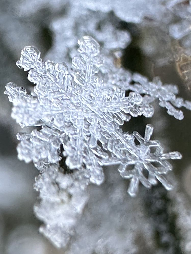 Photograph by Svetlana Tolkunova