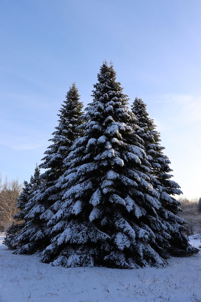 Photograph by Владислав Клыков