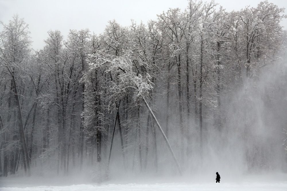 Photograph by Бибичков Михаил