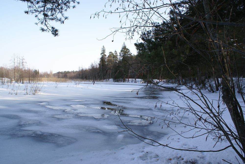Photo #13057771