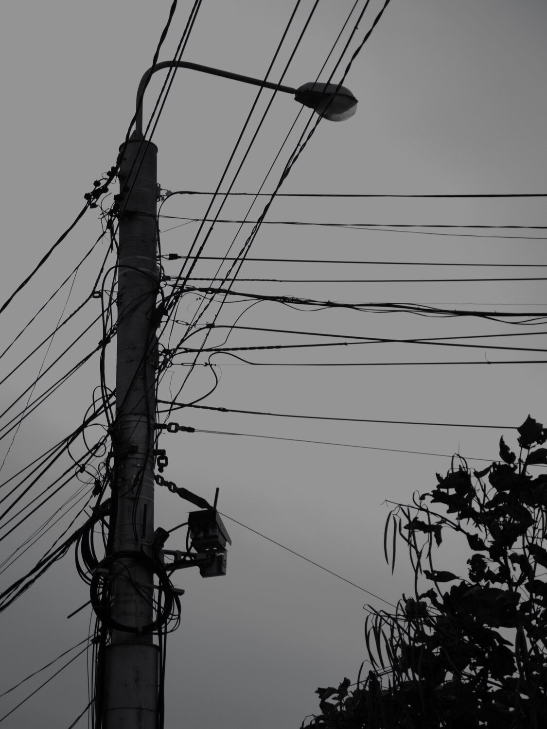 Photo #13057776