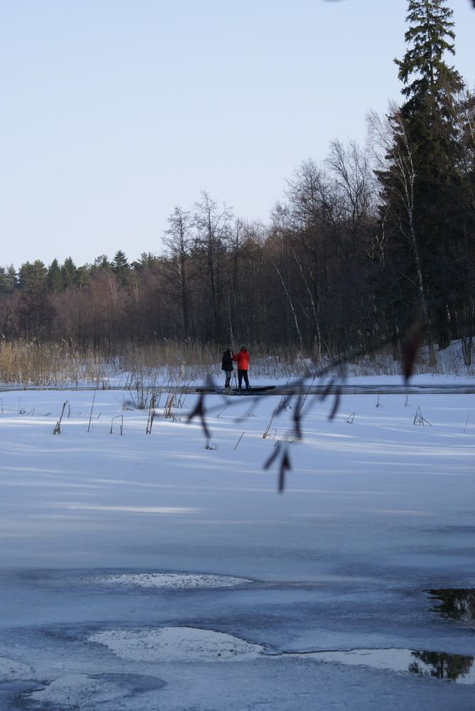 Photo #13057777