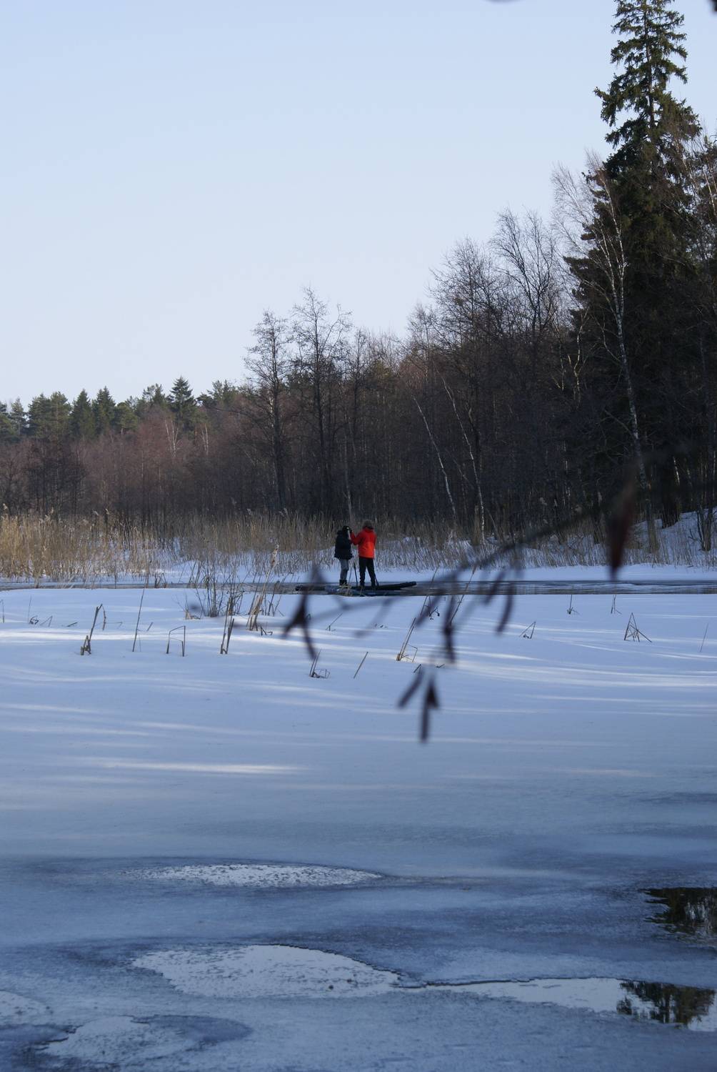 Photo #13057777