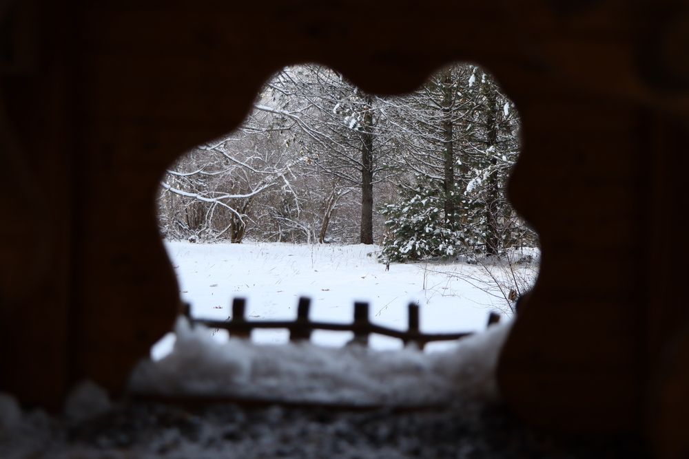 Photograph by Владислав Клыков