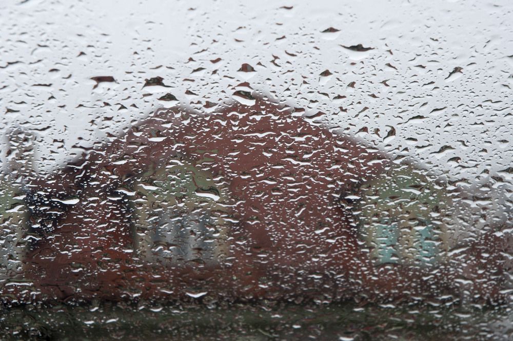The World Behind the Rain