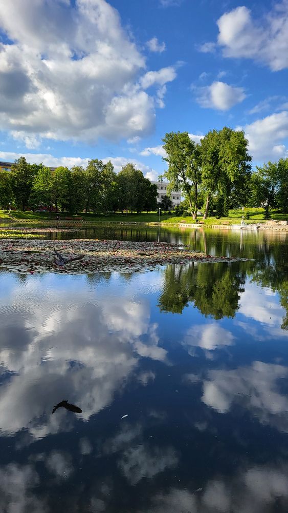 Фотография автора Татьяна Прашкевич