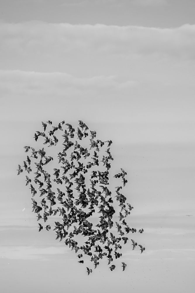 Photograph by Нелли Золотая