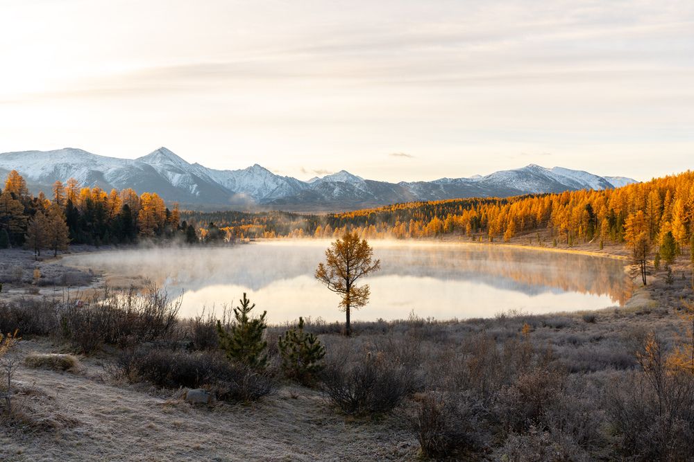 Photograph by Михаил Азаров