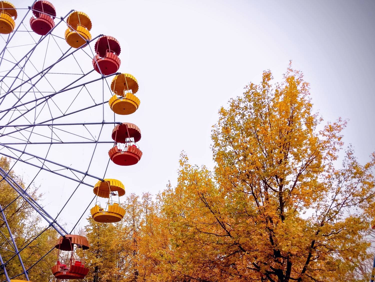 Photo #13057868